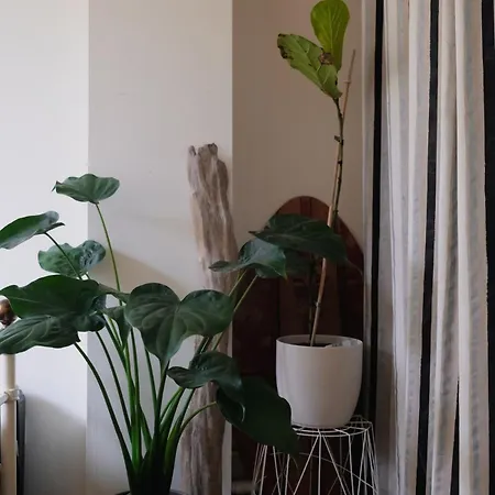 شقة Grande Terrasse Hyper-centre Quiet & Cozy For 2 *